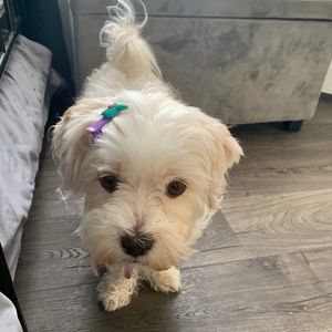 Meet your Posher, Miriam